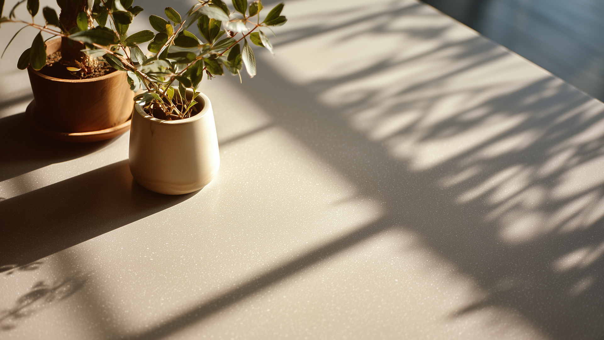 Detox Your Home Cleaning Routine: 5 Simple Swaps for a Healthier Home