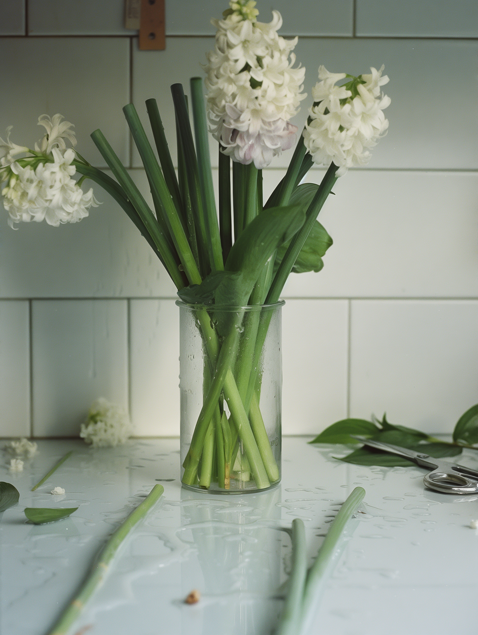 Stem Water Candle
