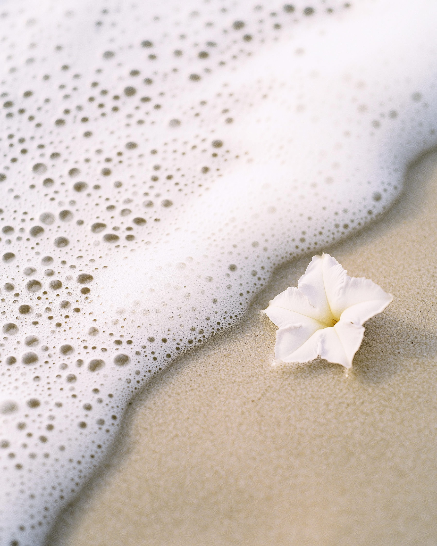 Soft Tide EDP