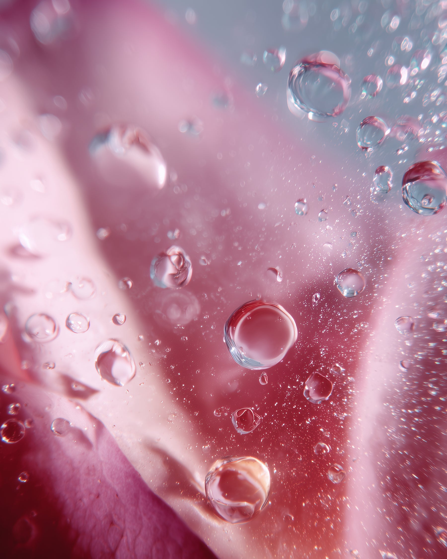 Love Drug Perfume