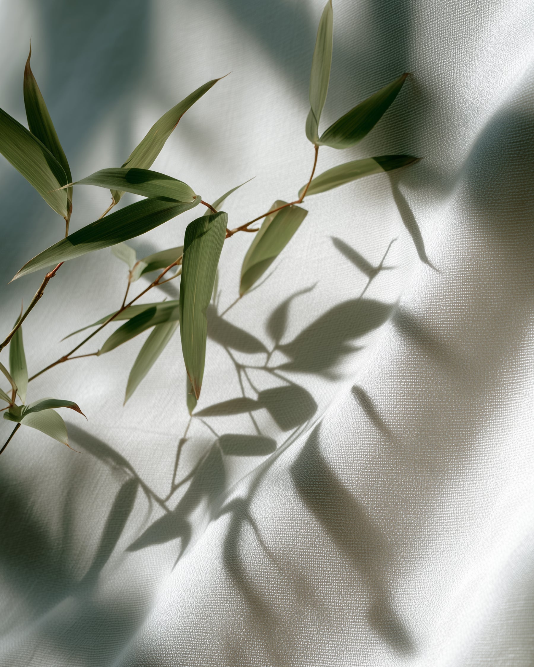 Green Light Perfumed Mist